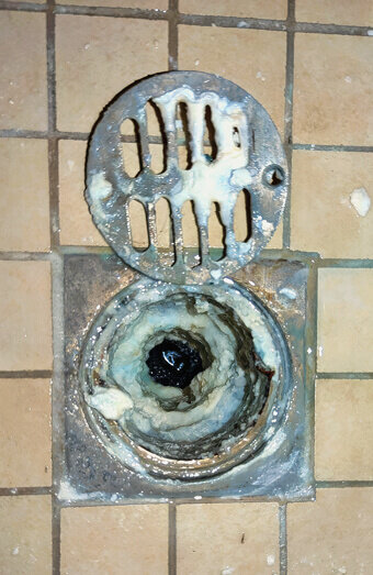 https://blockeddrainswembley.com.au/uploads/2025/07/blocked-shower-drains-86331.jpg