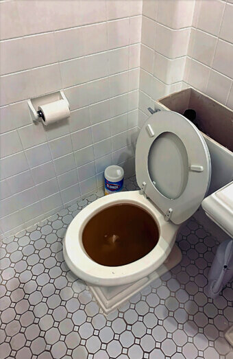https://blockeddrainswembley.com.au/uploads/2025/07/blocked-toilet-99184.jpg