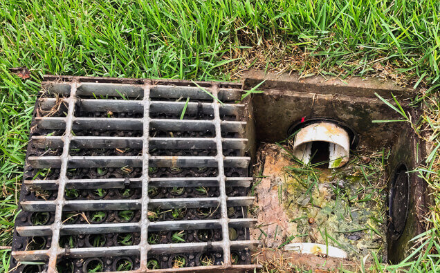 https://blockeddrainswembley.com.au/uploads/2025/07/hero-blocked-sewers-40191.jpg